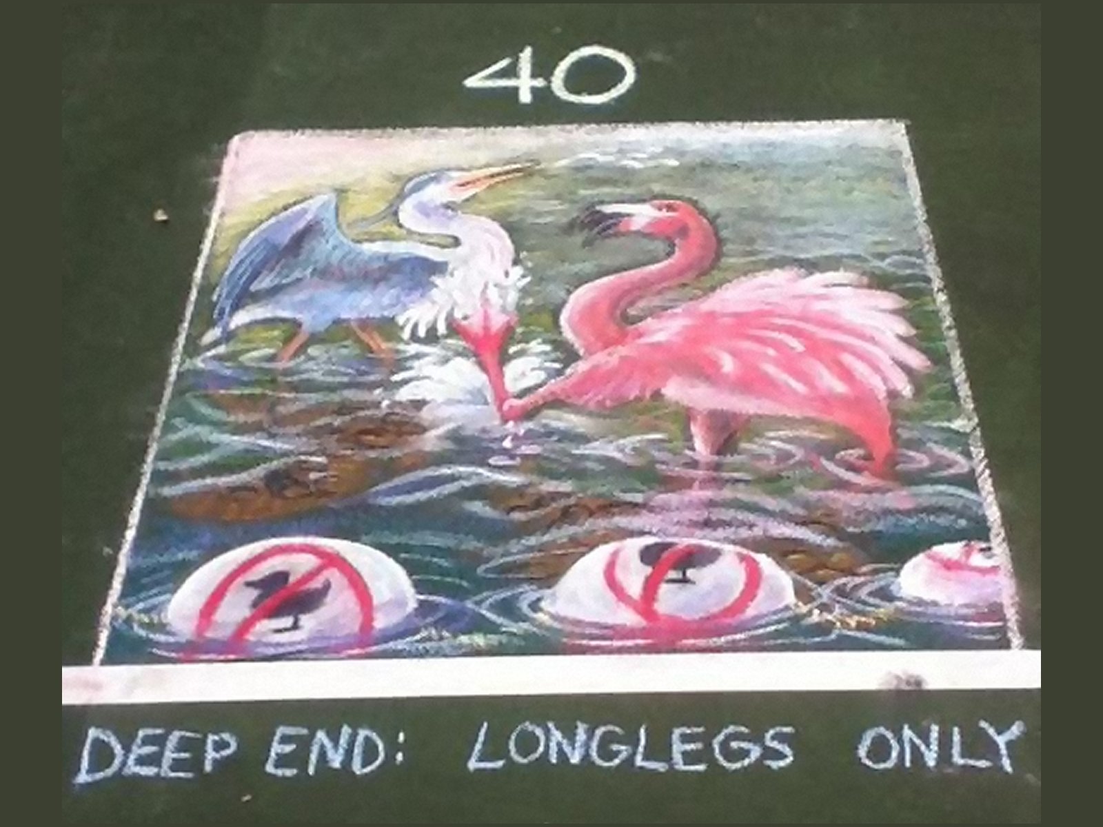 2016: The Ducks Stop Here