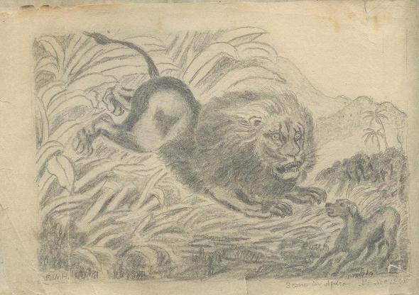  sketch 01: Africa Lion