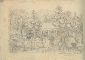 sketch 09 : Honolulu 